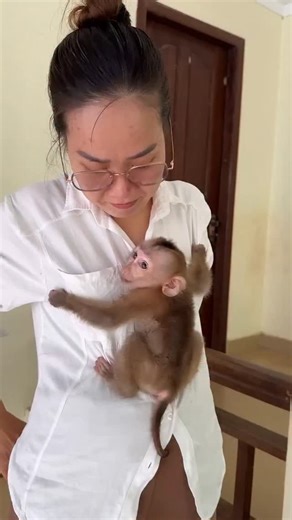 Baby Monkey Rescue Foundation When a baby monkey loses its mother, the world becomes a cold and lonely place. They cry, searching for the warmth and love that suddenly disappeared. When we rescue them, they are scared, silent, and broken inside — but slowly, something beautiful happens. With gentle hands and endless care, they start to feel loved again. The first time they hold my hand or rest their tiny head on my shoulder, I know they’ve finally found their new family. The fear in their eyes t