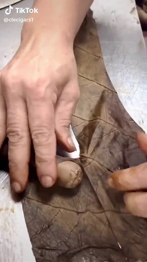 Asylum 13 cigars at its best. #foryou #fyp #cigarstyles #cigar #cigars