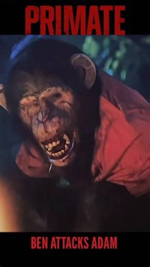 Primate 2026 (Spoiler Edit): Ben's Death Scene #horror #movie #shorts #video #edit