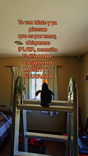 Es increíble cómo la gente siempre asume que cualquier bajón es por un tema de relaciones o desamor. Se equivocan de punta a punta. Mi tristeza no tiene nombre ni apellido, tiene un problema de saldo en la cuenta bancaria. ​No me hace falta un abrazo, me hace falta que el bolsillo deje de estar en números rojos. En un mundo donde todo se mueve a base de billetes, las preocupaciones sentimentales son un lujo que no tengo tiempo de procesar. La realidad es simple: el trabajo falta, los gastos sobr