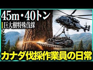 危険度マックスの木材産業！カナダの荒野で命を削る伐採工と世界最強のドイツ製林業機械