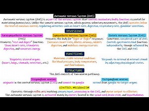 Autonomic nervous system (Introduction). Chapter 61 Part 1. Guyton and Hall Physiology.
