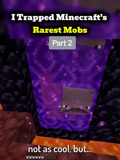 Trapping Minecraft's Rarest Mobs: Part 2