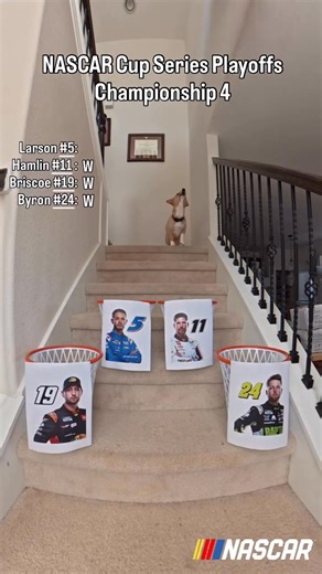 41K views · 203 reactions | Air Corgi makes her prediction for the NASCAR Cup Series Championship! | Chasing the Checkered Flag | Facebook
