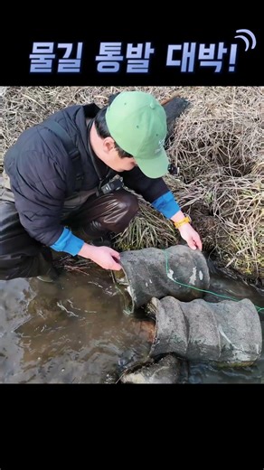 여울에 통발을 설치 했더니 대박이다