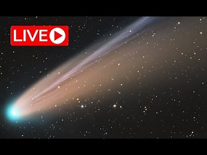 LIVE - Comet LEMMON is Going WILD!