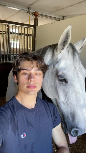 Heartwarming Horse Interaction in Stable