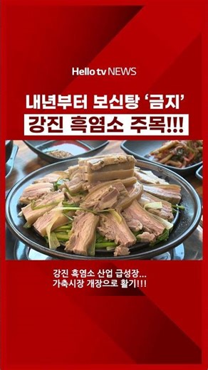 내년부터 보신탕 '금지'... 강진 흑염소 주목!!!|#shorts #헬로tv뉴스