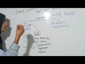 Difference between Organic and Inorganic compounds| By Yasmeen Academy