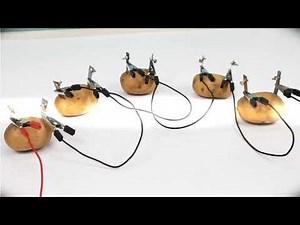 Unlocking Limitless Power with a Potato! A potato battery