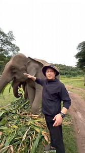 Welcome to Lanna Kingdom Elephant Sanctuary!! We are honored to share this special place with you;) | Lanna Kingdom Elephant Sanctuary