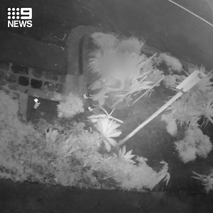 A "poo jogger" has been caught defecating in a Melbourne garden bed, after the owner noticed a little more fertiliser than usual... #9News There were public toilets just metres away: http://9Soci.al/Mjto30qJYxt | 9 News Adelaide