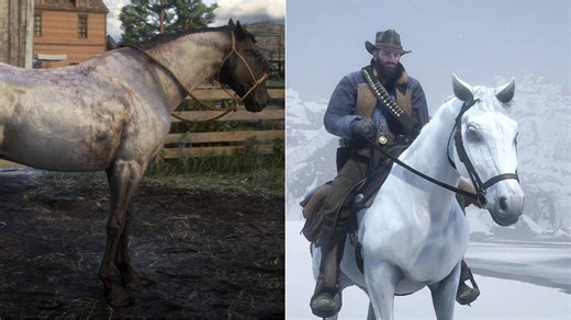 The Best Horses In Red Dead Redemption 2