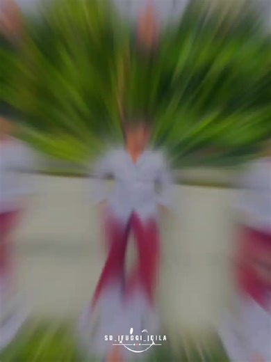 lithum nethmika (@lithum_xs)’s videos with original sound - lithum nethmika