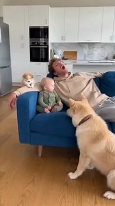 Daddy Couch Snore Symphony: Kitchen Edition. | English Good