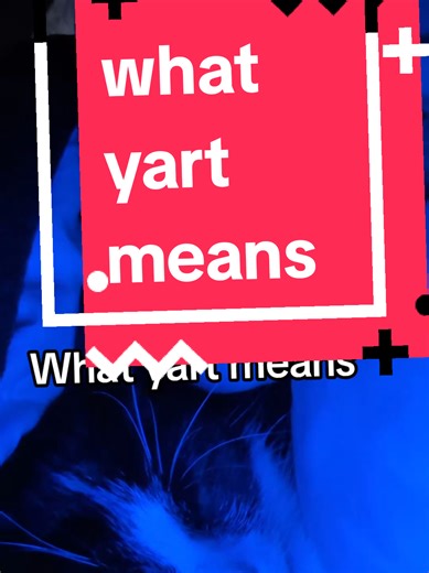 Understanding the Meaning of Yart