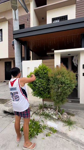 41K views · 225 reactions | Lesson from our plants: pruning may hurt, pero it helps you grow more beautiful. ✨ Pero syempre, practical tip din, bago mag-tag-ulan, trim na yung plants nyo!  | Dan & Danica | Facebook