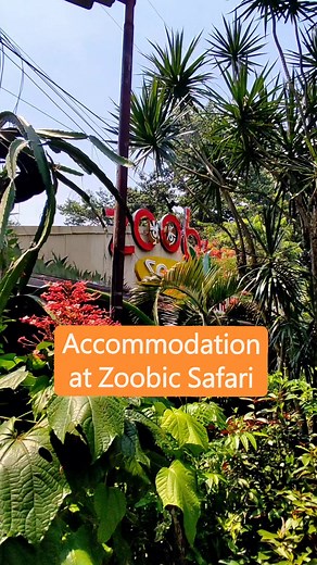 19K views · 92 reactions | Experience the thrill of Safari by day, and the luxury of GlampZ by night! Book now! Glampz - Glamorous Camping at Zoomanity #ZoobicSafari #FindYourHappyNest #GlampZ #accommodationdeals #iLoveFUNtasticSubicBay #travellocalph #fyp | Zoobic Safari | Facebook
