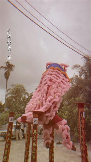 Chinese New Year Lion Dance: Limited Slots Available!