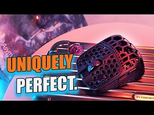 Fenrir Asym: G-WOLVES WON'T STOP COOKING!