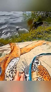 98K views · 3.1K reactions | funny and cuties dog (178) #SpringVibes #PositiveVibes #FlowerPower #NatureLovers #BloomingSeason | Animal Pals World | Facebook