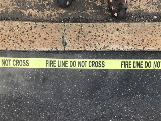 City Worker Injured In Tree-Trimming Accident Has Died In 'Devastating Loss'