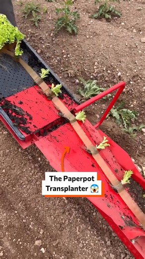 The paperpot transplanter 😱 | Twisted