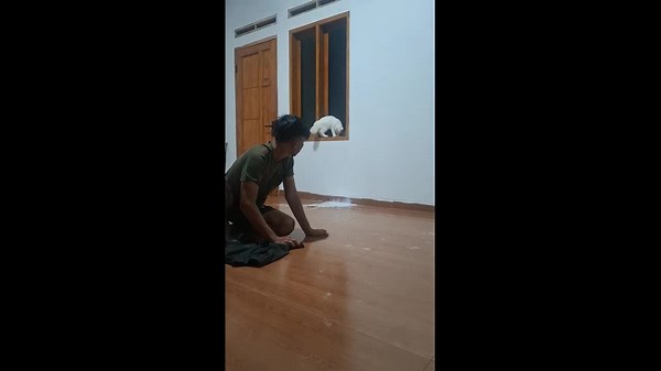 Cat knocks over paint, doubling owner’s mess in Subang, West Java