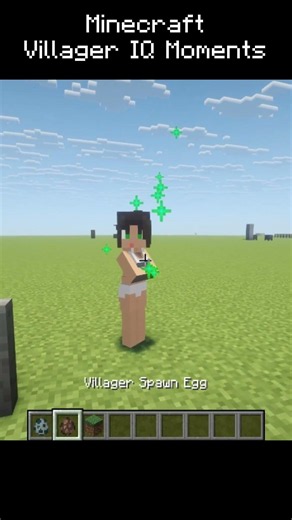 Villager IQ Moments #minecraft