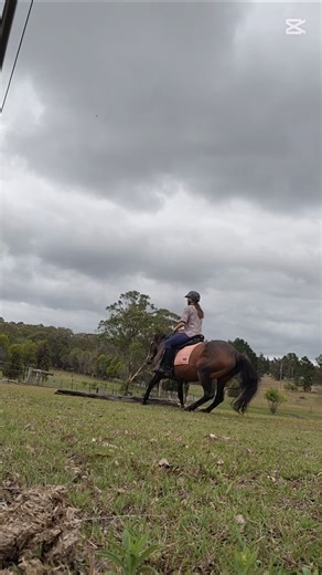That was a big spook #horse #blowup #equestrian #viral