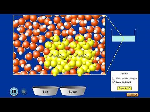 Solutes in Water (Salt vs Sugar)