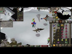OSRS: Kree'arra 1+1 50 Kills/hr