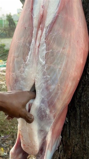 Goat meat processing skills