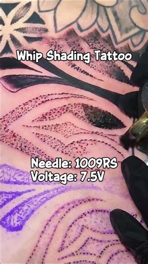 Master the Whip: How to Get Perfect Pepper Shading Gradients