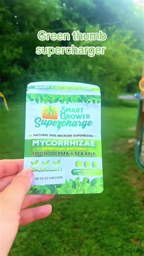 A plant root enhancer powder mixed with water and applied directly to soil during planting or regular watering. Gardeners use it for seeds, transplants, or established plants as part of routine plant care. The blend works alongside soil conditions to support root development in gardens, containers, or houseplants. Easy to keep with gardening supplies and use throughout the growing season. root enhancer powder, plant root supplement, mycorrhizal soil additive, transplant support powder, garden so
