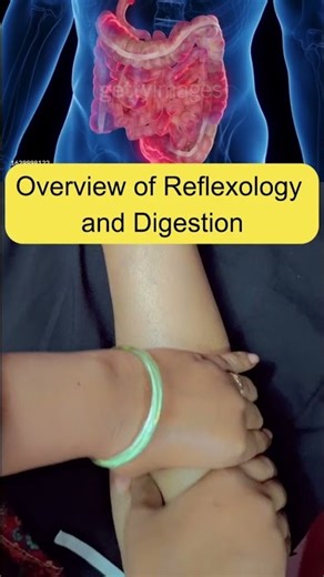 Overview of Reflexology and Digestion #viralshort #acupressure #daily