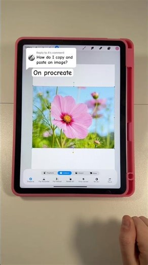 Inserting an image #procreate #procreatetutorial #procreatetips #procreateapp #procreatebeginner