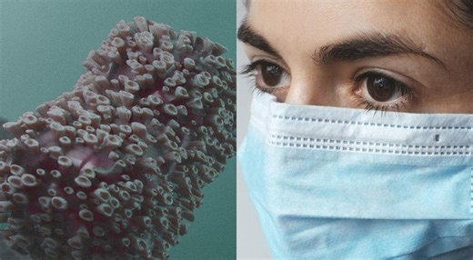 Viruela del mono: ¿Qué hacer si estoy infectado y cuáles son los cuidados?