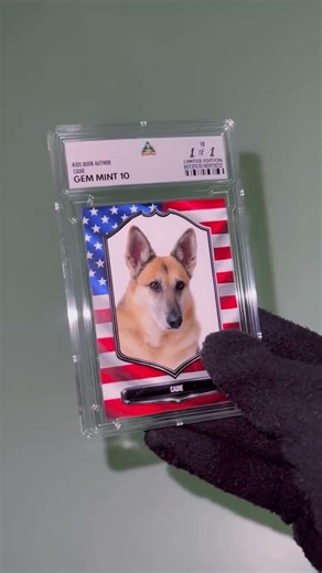 Create Custom Trading Cards For Your Dog #sportscards #icarded #fyp #viral