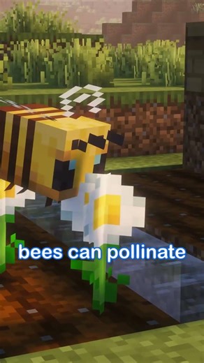 Goated for the early game #minecraft #minecraftshorts #minecraftjava