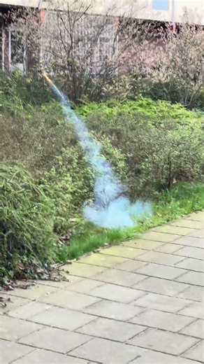 Firework *GONE WRONG*#fireworks