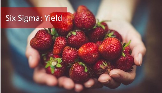 First Pass Yield vs. Roll ThroughPut Yield: Why RTY is better than FPY?