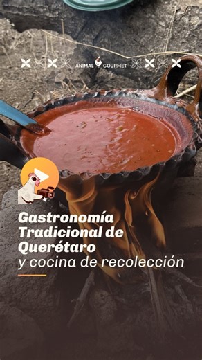 Si quieres comer rico necesitas ir a Querétaro ☺️ Acá te mostramos su gastronomía 🙌 #animalgourmet #queretaro #comidamexicana | Animal Gourmet