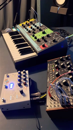 Moog jam 3 #synth #composer #moog #analog
