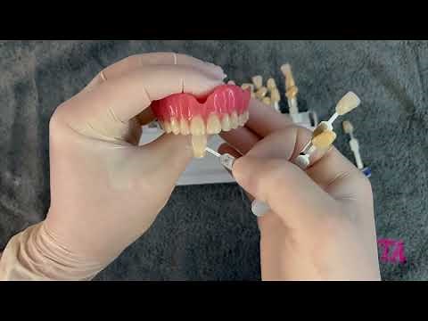 Vita 3D Master shade guide