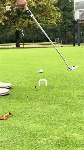 Are you under 15 handicap #golf #pga #golfswings #golfputter #golftips