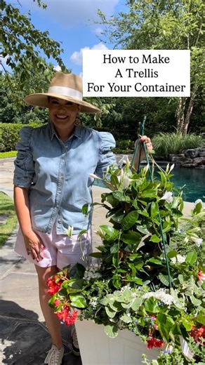 Carmen Johnston Gardens on Instagram: "I love Mandevilla and make my own trellis in containers. This can take full intense summer sun ☀️"