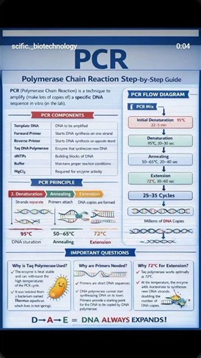 🧬 PCR (Polymerase Chain Reaction)#viral #trending