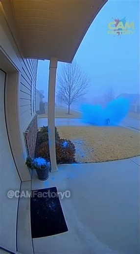 Instant Karma Package Thief vs Paint Trap 🎨