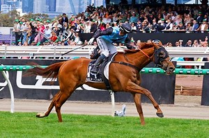 Half Yours Impresses With Melbourne Cup Triumph